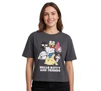Hello Kitty & Friends Grey Cropped Short-Sleeved T-Shirt | Womens Graphic Tee | Cute Sanrio Characters Top