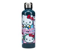 Hello Kitty Metal Water Bottle