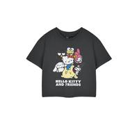 Hello Kitty Womens Grey Hello Kitty & Friends Cropped Short Sleeved T-Shirt - X-Large