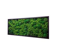 Hello Moss Picture - Moss Decoration for Your Home - Picture Frame with Cushion Moss and Cladonia - Modern Live Moss Wall - Unique Wall Decoration - Various Sizes (Black, 120 x 50 cm)