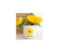 Something Different Hello Sunshine Sunflower 3D Plant Pot (One Size) (Ceramic/Yellow)