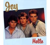 Hello / Why Are You Hurting Me So Much (Cover+Vinyl VG) [Vinyl Single]