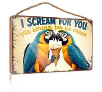 Hello Winter Sign Two Parrots Holding An Ice Cream Cone With The Text "I Scream For You Fall Wall Decor Vintage Decor(20X30CM)