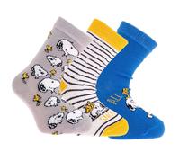 HelloBaby Baby Boy Socks 3 Pcs - Indigo