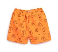 HelloBaby Boy Shorts Swimsuit - Orange