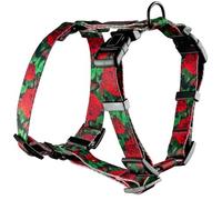 Helltails Dog Harness for Small Dogs, No Absorb, Adjustable Chest Harness, Anti-Pull Y Harness, Dog Small with Control, Classic Lightweight Dog Harness, Dog Harness, Eternal Rose, XS