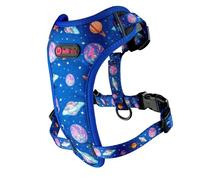 Helltails Guard Comfort Harness for Large Dog |NO ABSORB | Compression Free | Waterproof | Adjustable | Lightweight | Cosmic Bloom - L
