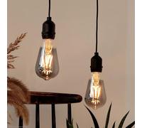 Hellum 151435 Hanging Lamp with Battery and Remote Control Outdoor Set of 2 Light Bulbs with Battery ST64 Diameter 6.4 cm Grey Light Bulb with Remote Control Dimmable Pendant Lamp Outdoor Smoky