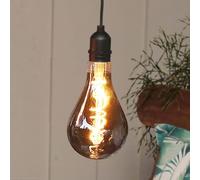 Hellum Hanging Lamp With Battery and Remote Control Outdoor, A100 Ø 10 x 20cm, Smoky Light Bulb, Dimmable Retro Hanging Lamp (4xAA Not Included) 150445