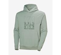 Helly Hansen Core Graphic Hoodie Green S Men