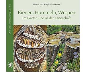 Helmut & Margrit Hin Bienen, Hummeln, Wespen im Garten und in der La (Paperback)