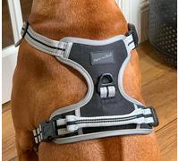 Hem and Boo Dog Harness, Sport Style, No-pull Reflective Stitching, Grab Handle, Matching Accessories (Black, XL)