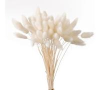 Hemasa 20/50Pcs Natural Rabbit Tail Grass Colorful Dried Flowers Bouquets Bunny Tails Lagurus Ovatus Photo Prop Home Wedding Decoration White 20Pcs