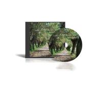 Hemi & Sync & Support For Stroke Recovery (4cd) - Support for Stroke Recovery