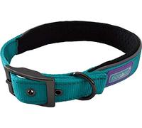 HEMMO Dog & Co Padded Reflective Collar, Medium, Aqua