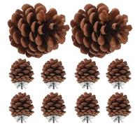 Hemobllo 10pcs Natural Parrot Bird Chewing Pine Cone Foraging Toy Wear-resistant Hanging Toy for Birds Funny Parrot for Cage Plaything