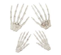 Hemobllo 2 Pcs Halloween Skeleton Hand Props Claw Bone Model Set for Haunted House Horror Decoration and Party Supplies