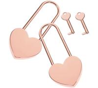 Hemobllo 2 Sets Heart Shape Love Locks with Keys for Small Boxes and Jewelry Boxes, Mini Zinc Alloy Padlocks for Travel Suitcases and Luggage Security
