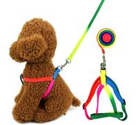 Hemobllo 2pcs Colorful Puppy Leash Set with Sturdy Nylon Dog Pulling Rope for Outdoor Use, Providing Balance between Freedom and Control for Pets