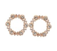 Hemobllo 2pcs Women’s Rhinestone Shoe Clips Buckles, Removable Decorative round Crystal Charms for Bridal Wedding Party and Daily Dress Shoe Accessories