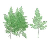 Hemobllo 48pcs Green Artemisia Dried Leaves DIY Pressed Leaf Material for Handmade Crafts, Bookmarks and Greeting Cards, Plant Decor for Home and Scrapbook Art