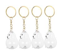Hemobllo 4pcs Transparent Dog Hair Keepsake Boxes Keychain for Memorial Storage Capsule for Satsuma Dog Portable Emotional Tribute Accessories for Daily Use and Travel