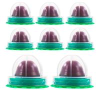 Hemobllo 8 Pcs Catnip Balls - Cat Toys for Indoor s Snack Self-Adhesive Nip Treat Kitten Toy nip Licking Balls Kitten Snack for Licking (Random Flavor)