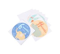 Hemobllo Beautiful Monthly Milestone Stickers for Newborns, Paper Material with Delicate Design, for Photos and Capturing Memories in Scrapbooking and Pictures