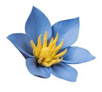 Hemobllo Ceramic Wall Hanging Flower Ornament Blue Clematis Medium Artificial Flower Decor for Living Room Tv Sofa Background Wall Decoration