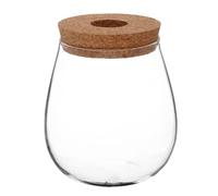Hemobllo Hydroponic Glass Vase Creative Propagation Container for Home Decor Desktop Planter