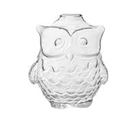 Hemobllo Owl Shaped Glass Vase Hydroponic Plant Container Decorative Floral Vase for Indoor Succulent Plants