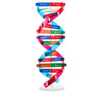 Hemobllo Self-assembling Dna Display Stand, Double Helix Model Genetics Learning Toy for Kids, Educational Biology Teaching Aid, Multi-color, 14. 5in
