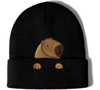 Hemoravoma Capybara Beanie Hat with Embroidered Design, Funny Animal Novelty Knitted Hat for Men & Women, Unisex Winter Warm Gift for Animal Lovers, Christmas & Birthday Present (Capybara-A)