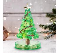 Hemore Crystal Growing Kit, Christmas Tree Crystal Growing Kits for Kids 9-12, DIY Educational Craft Grow Crystals Kit for Kids Birthday
