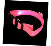 HEMOTON 1 Set Rechargeable Night Luminous Dog Collar Adjustable Flashing Neck Adornment for Pets Durable Washable for Outdoor Use Keeps Dogs Visible the Dark
