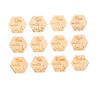 HEMOTON 12Pcs Milestone Cards Floral Design Natural Monthly Photo Props Newborn Age Marker Signs for Growth Commemorative Keepsake Recording Precious Moments