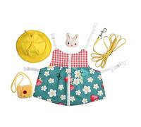 HEMOTON 1Set Lovely Rabbit Dress Rabbit Costume with Leash for Outdoor Safety Comfortable Fit for Bunnies Durable Design for Daily Use and Special Occasions