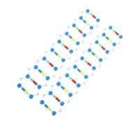 HEMOTON 2pcs Dna Double Helix Model Kit Plastic Molecular Biology Structure Teaching Tool Educational Science Experiment Set for Genetics and Ancestry Learning