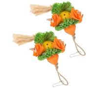 HEMOTON 2pcs Parrot Chewing for Birds, Corn Husk Hanging Birdcage Accessories, Natural Bird Gnawing and Foraging Playthings for Pet Parrots