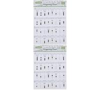 HEMOTON 2pcs Trumpet Chord Chart Poster for Beginner Music Chords Reference Guide Trumpet Note Chart Learning Guide