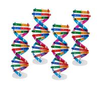 HEMOTON 4pcs DIY Human Gene Dna Model Kit Double Helix Molecular Structure Educational for Classroom and Home Science Teaching Enhances Learning and Fine Motor Skills