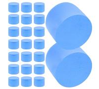 HEMOTON 50pcs Ant Nest Sponge Plugs for Test Tube Colonies Moisture Control Replacement Filter Pads for Ant Farm Habitats Science Learning Tools for Indoor Use