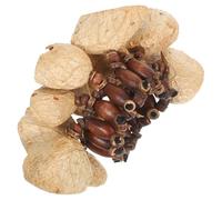 HEMOTON African Tribal Nut Shell Hand Percussion Shaker Bracelet with Natural Shells Crisp Warm Tones Handcrafted Musical Hand Bell for Dance Yoga Party Adults Rhythm Accessory