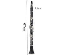 HEMOTON B Flat Clarinet Bakelite Musical Instrument for Beginners Adults and Boys and Girls for School Band Practice and Performance Complete Case and Accessories