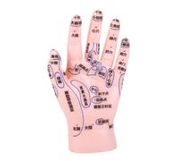 HEMOTON Educational Acupuncture Hand Display Model for Tcm Learning with Detailed Reflexology Zones PVC Construction for Massage Practice and Medical Training