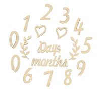 HEMOTON Growth Cards 1 Set of Baby Birth Month Mile Signs Wooden Milestone Numbers for Baby Photo Sessions