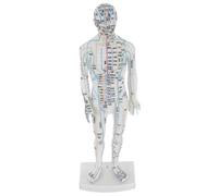 HEMOTON Human Body Acupuncture Model with Clear Meridian Points for Student Practice Massage and Acupuncture Training Mannequin Full-Body Chinese Acupoint Display for Health and Learning