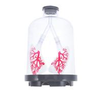 HEMOTON Human Lung Anatomical Display with Diaphragm Movement Simulation Plastic Model for Science Education and Middle School Biology Experiments, User-friendly Breathing Exercise