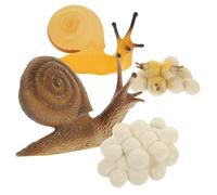 HEMOTON Interactive Snail Growth Cycle Educational Model for Realistic Snail Life Phase Learning Props Biology Teaching Kit and Home Decoration