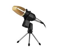 HEMOTON Professional Golden Condenser Microphone with Reverberation Echo Function, Adjustable Angle Locking Knob, Standard Screw Adapter for Voice-over Sound and Radio Broadcasting